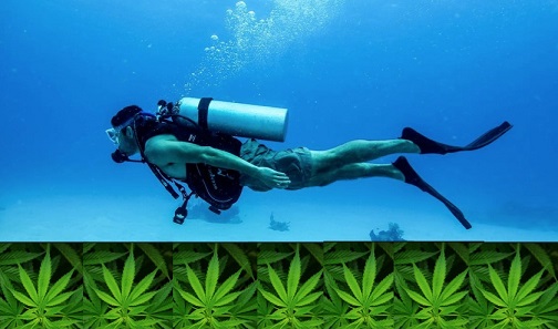 cannabis-plongee-plongeur-accident.jpg