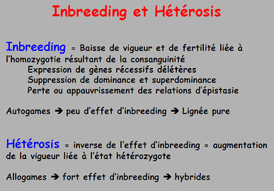 Capture inbreeding hétérosis.PNG