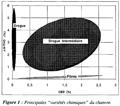 Chimiotypes du chanvre.PNG